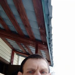 , 41 , 