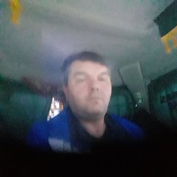 ����, ������, 50 ���