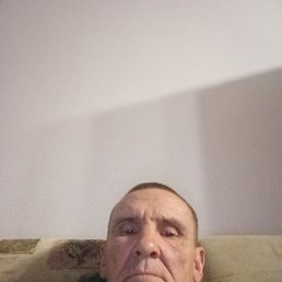 , 54, 