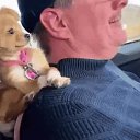 ���� ����, ������, 59 ��� - ��������� 25 ���� 2024 � ������ ���� ����������