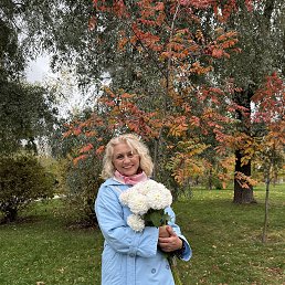 ���� �������, �����, 51 ��� - ��������� 16 ������ 2026