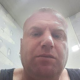 , , 41 
