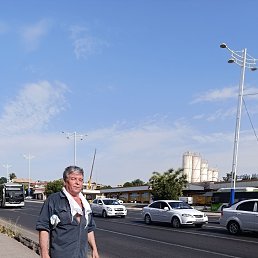 , 56, 