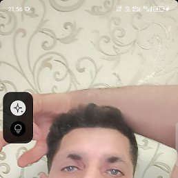 , 41, 