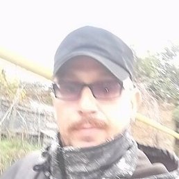 ���� ������, �������, 44 ���� - ��������� 5 ������ 2025