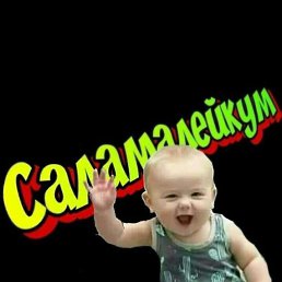 ���� ������, ���������, 44 ���� - ��������� 13 ����� 2026