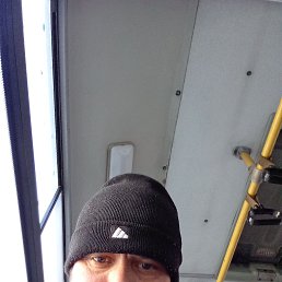 , 37, 