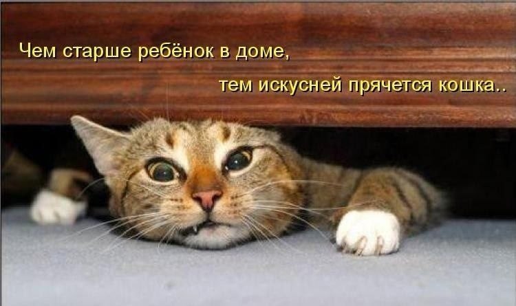    - 8  2024  21:37