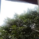 ���� �����, �����������, 48 ��� - ��������� 4 ���� 2024 � ������ ���� ����������