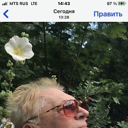 ���� ���������, ������ ��������, 60 ��� - ��������� 20 ���� 2026