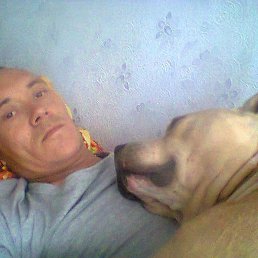 ������, �������, 43 ����