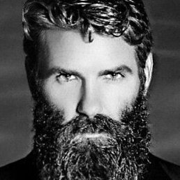 Ali, ��������, 28 ���