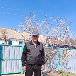 , 62, 