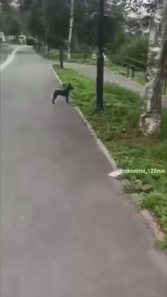 ��� ����� � ����������� ������ �����..