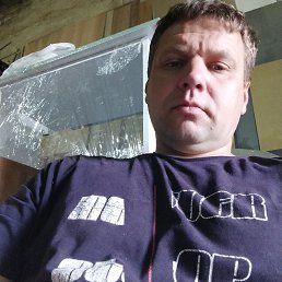 , 41,  