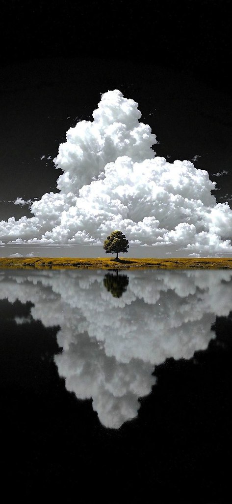 Кто-нибудь знает, что происходит с ФС? НЕ могу долго попасть на сайт... НЕ могу нормально выставлять ...