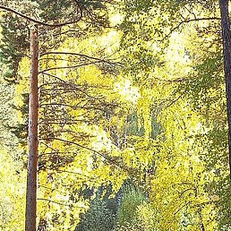 ������, ����������, 46 ���