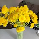 ���� ������, ����� - ��������� 28 ������� 2026 � ������ ���� ����������