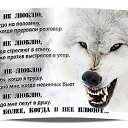 ���� �����, ������, 38 ��� - ��������� 21 ����� 2026 � ������ ������ ��������