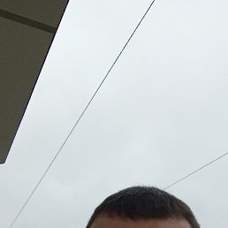 , 36, 