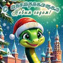  ,  -  29  2024    