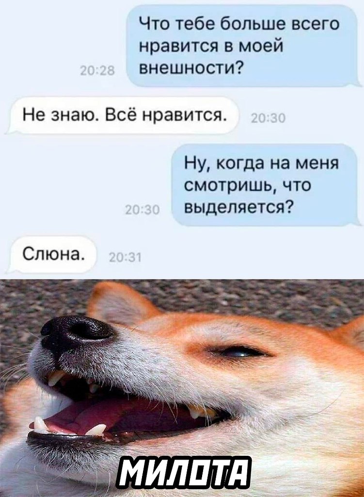  - 26  2025  19:48