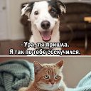 ���� �������, ����� - ��������� 21 ������� 2026 � ������ ������ ��������