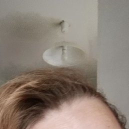 ���� ��������, �����������, 51 ��� - ��������� 6 ������ 2026