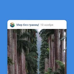 ��������, ������, 54 ����