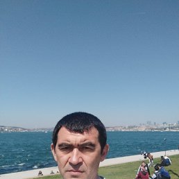  , 46, 