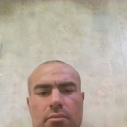 ���� ������, �����-���������, 43 ���� - ��������� 18 ������� 2026