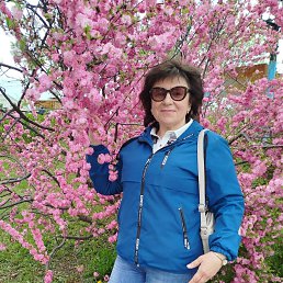 , 60, 
