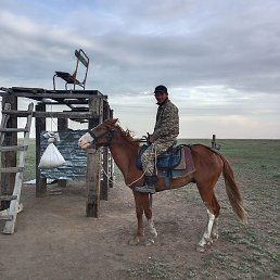 ������, ��������, 36 ���