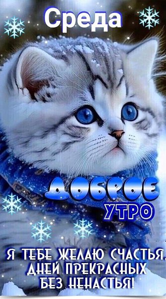 ’‘’‘’‘’‘’‘’‘’‘’‘’‘’‘’‘’‘’‘’‘’‘’‘’‘’‘’‘’‘’‘’‘’‘’‘’‘’‘’‘‘’‘