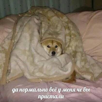    - 3  2024  14:39