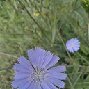 ���� �������, �����������, 44 ���� - ��������� 22 ������� 2024 � ������ ���� ����������