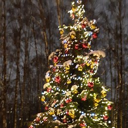 ������, ����, 75 ���