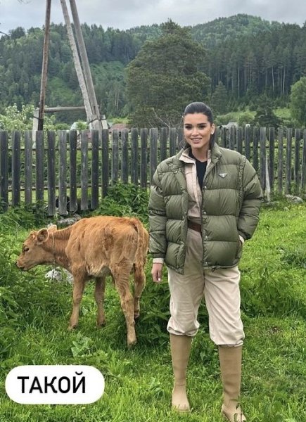    :      .   , ... - 2