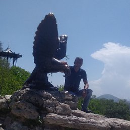 , 45, 