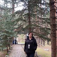 , 37 , 