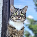 ���� ������, ������, 67 ��� - ��������� 6 ������ 2026 � ������ ���� ����������