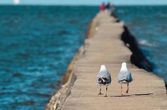    -,      ,    , .   ...