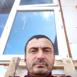 , 40, 