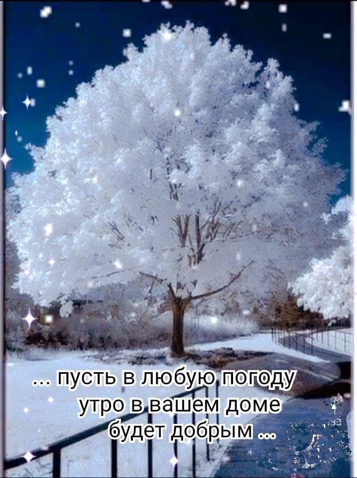   ! - 12  2024  11:33