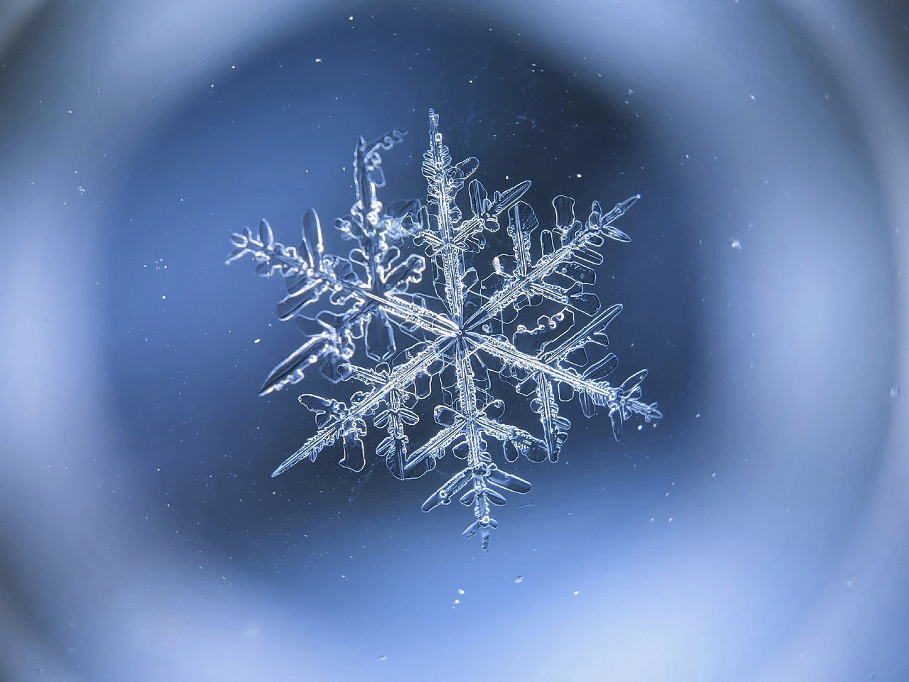     - 9