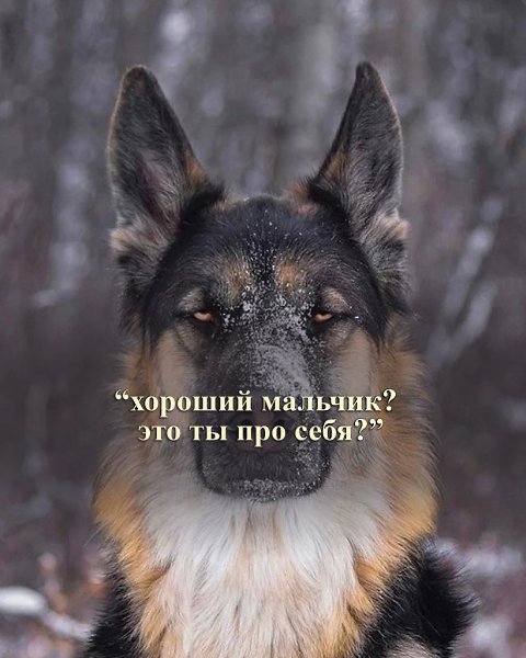 � ���� ������ ����� ������� ������, ��� ������ ��� �������, ����� � ������� � �����. - 2
