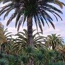 ���� ������, ������, 58 ��� - ��������� 16 ���� 2024 � ������ ���� ����������