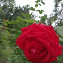 ���� Mila, ������ - ��������� 17 ������ 2026 � ������ ���� ����������