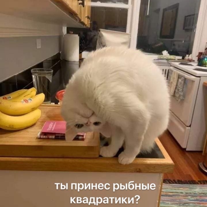    - 5  2024  23:40