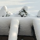 ���� �����, ������, 64 ���� - ��������� 10 ������ 2026 � ������ ������� ��������� ����